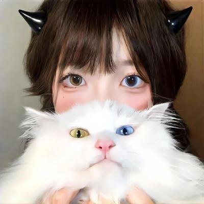 梅艳芳菲